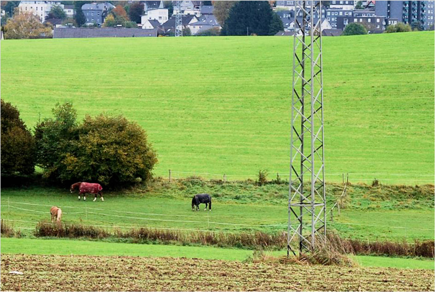 nordrheinwestpfalen 0002K0114-2023 Bohlenhagener Straße 77, 51545 Waldbröl, Bohlenhagen 13