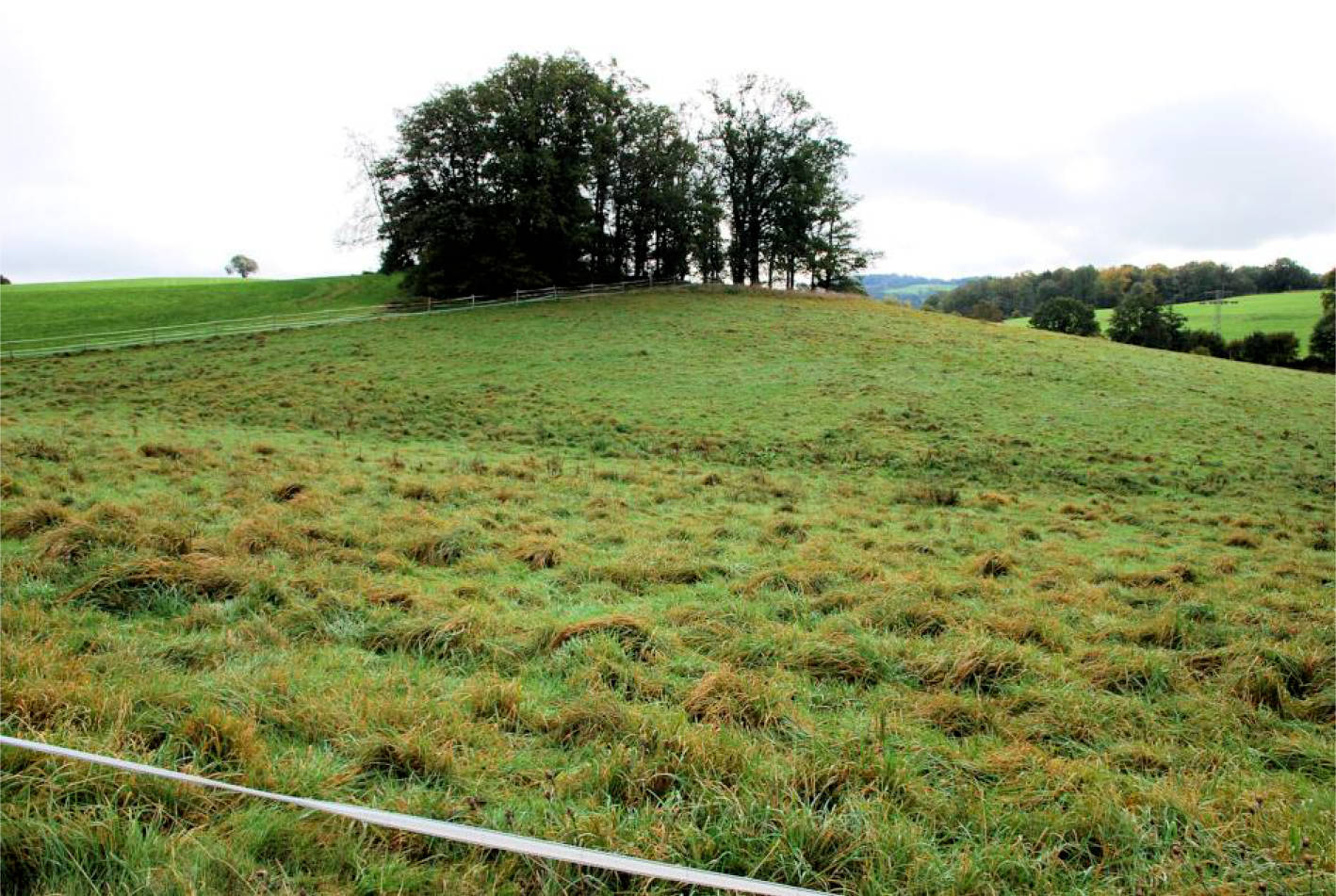 land- und forstwirtschaftlich genutztes Grundstück in Bohlenhagener Straße 77, 51545 Waldbröl, Bohlenhagen - Bild 5