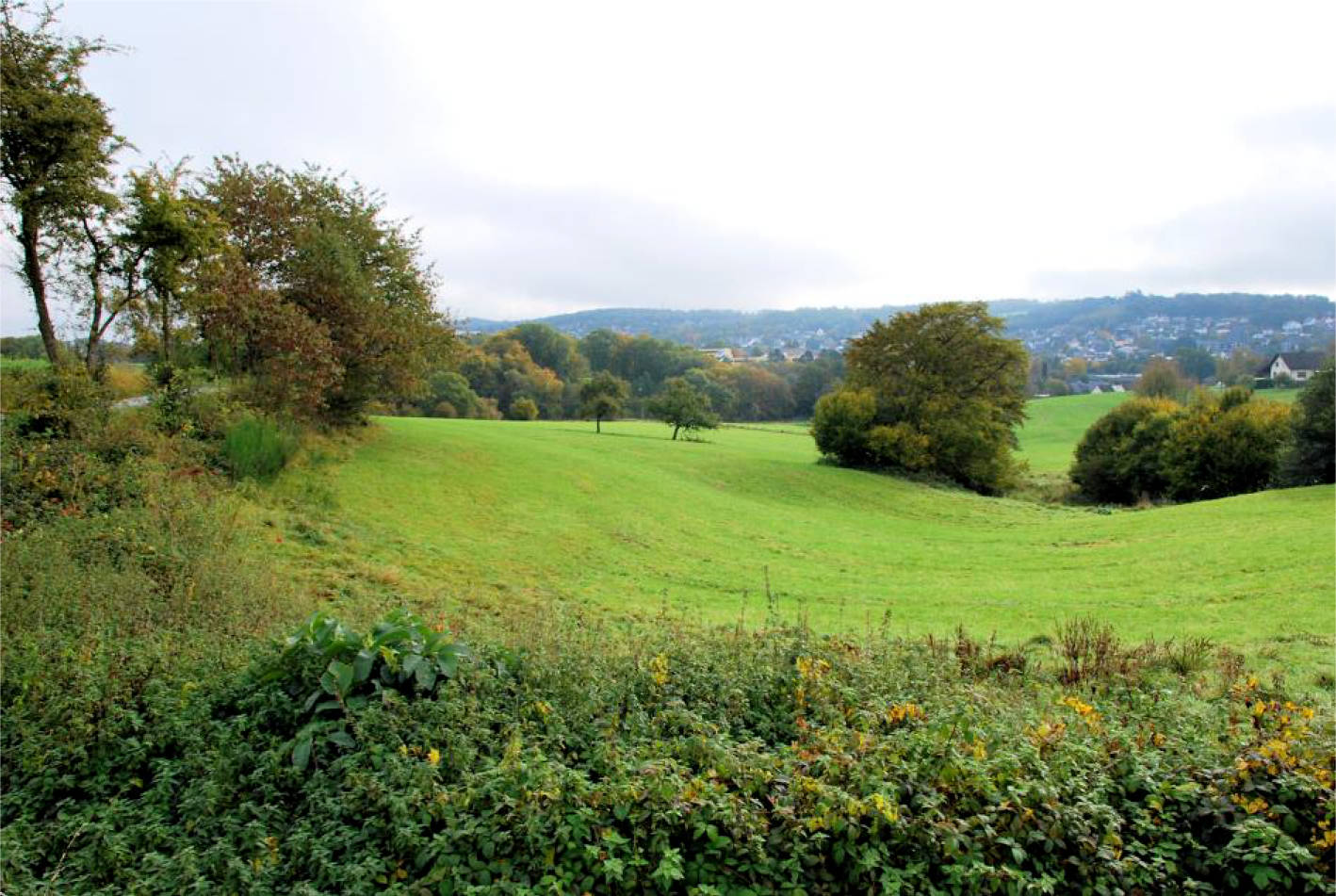 nordrheinwestpfalen 0002K0114-2023 Bohlenhagener Straße 77, 51545 Waldbröl, Bohlenhagen 12