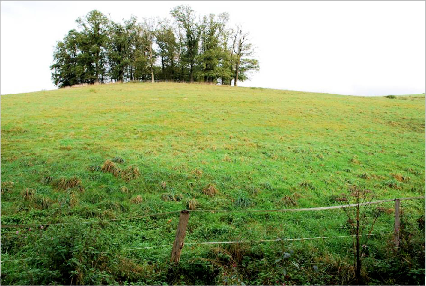 land- und forstwirtschaftlich genutztes Grundstück in Bohlenhagener Straße 77, 51545 Waldbröl, Bohlenhagen - Bild 2