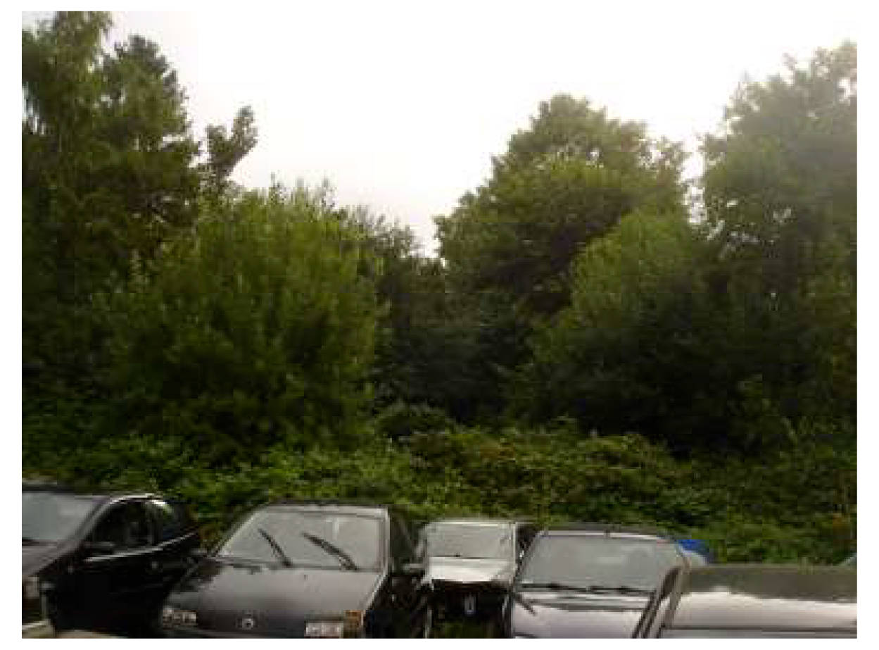 nordrheinwestpfalen 0003K0008-2016 Eidinghausener Straße 53, 32549 Bad Oeynhausen