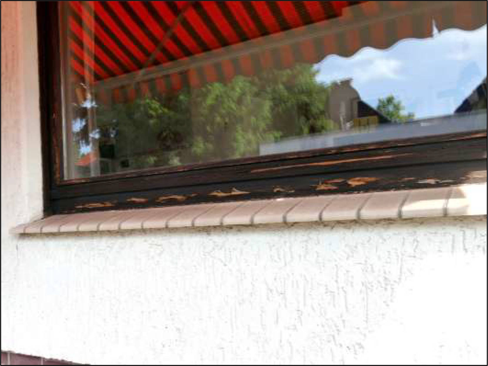 Einfamilienhaus in Kurweg 9, 32547 Bad Oeynhausen - Bild 5