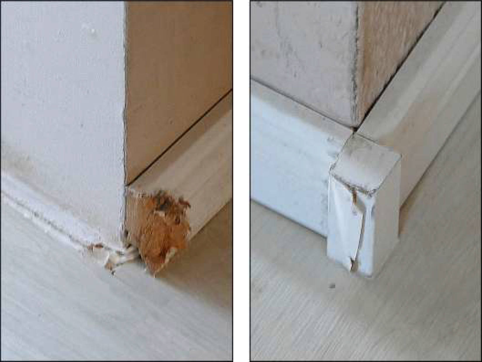 nordrheinwestpfalen 0003 K 0021/2025 Eidinghausener Straße 198, 32549 Bad Oeynhausen, Bad Oeynhausen 8