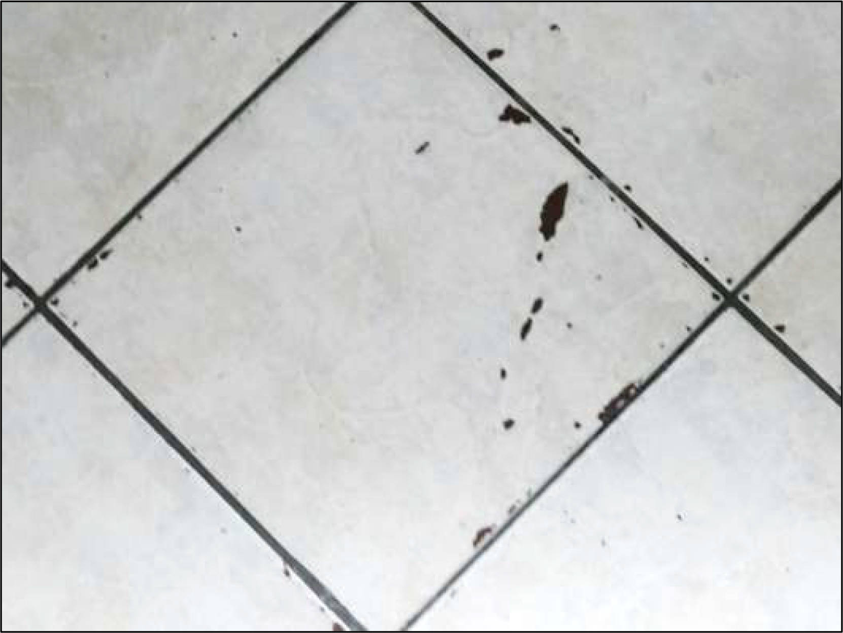 nordrheinwestpfalen 0003 K 0027/2019 Zum Jägerplatz 86, 88, 90, 92, 94, 96, 32549 Bad Oeynhausen 23