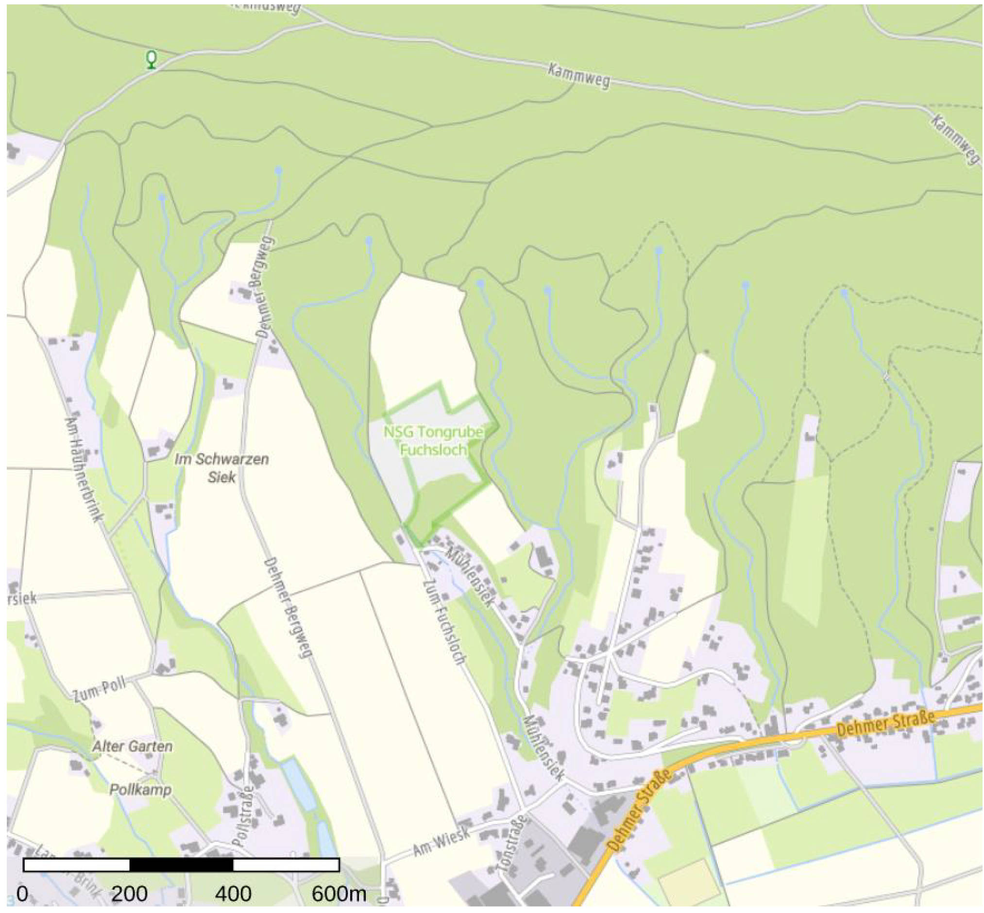 land- und forstwirtschaftlich genutztes Grundstück in Eidinghauser Berg, 32549 Bad Oeynhausen - Bild 4