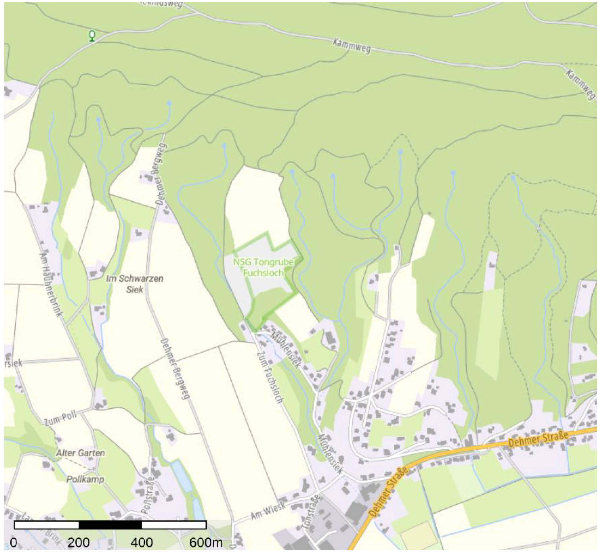 land- und forstwirtschaftlich genutztes Grundstück in Eidinghauser Berg, 32549 Bad Oeynhausen - Bild 2