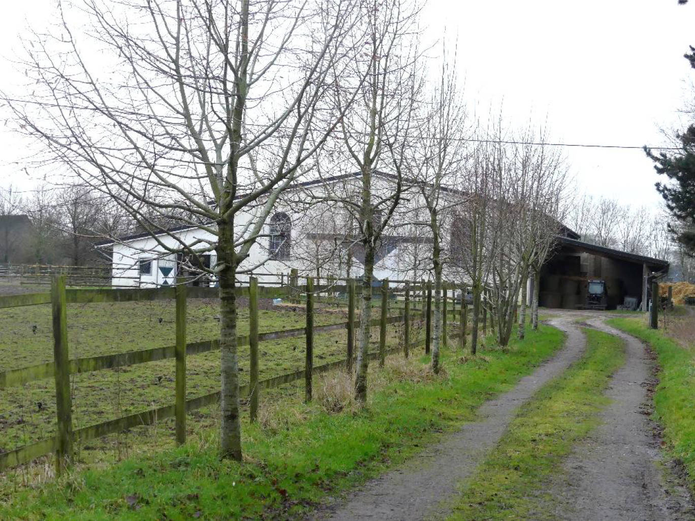 land- und forstwirtschaftlich genutztes Grundstück, land- und forstwirtschaftlich genutztes Grundstück, land- und forstwirtschaftlich genutztes Grundstück, land- und forstwirtschaftlich genutztes Grundstück, land- und forstwirtschaftlich genutztes Grundstück, land- und forstwirtschaftlich genutztes Grundstück, land- und forstwirtschaftlich genutztes Grundstück, mit Bewegungshalle und Stalltrakt in Mooßweg, Vockenweg, 46519 Alpen, Menzelen