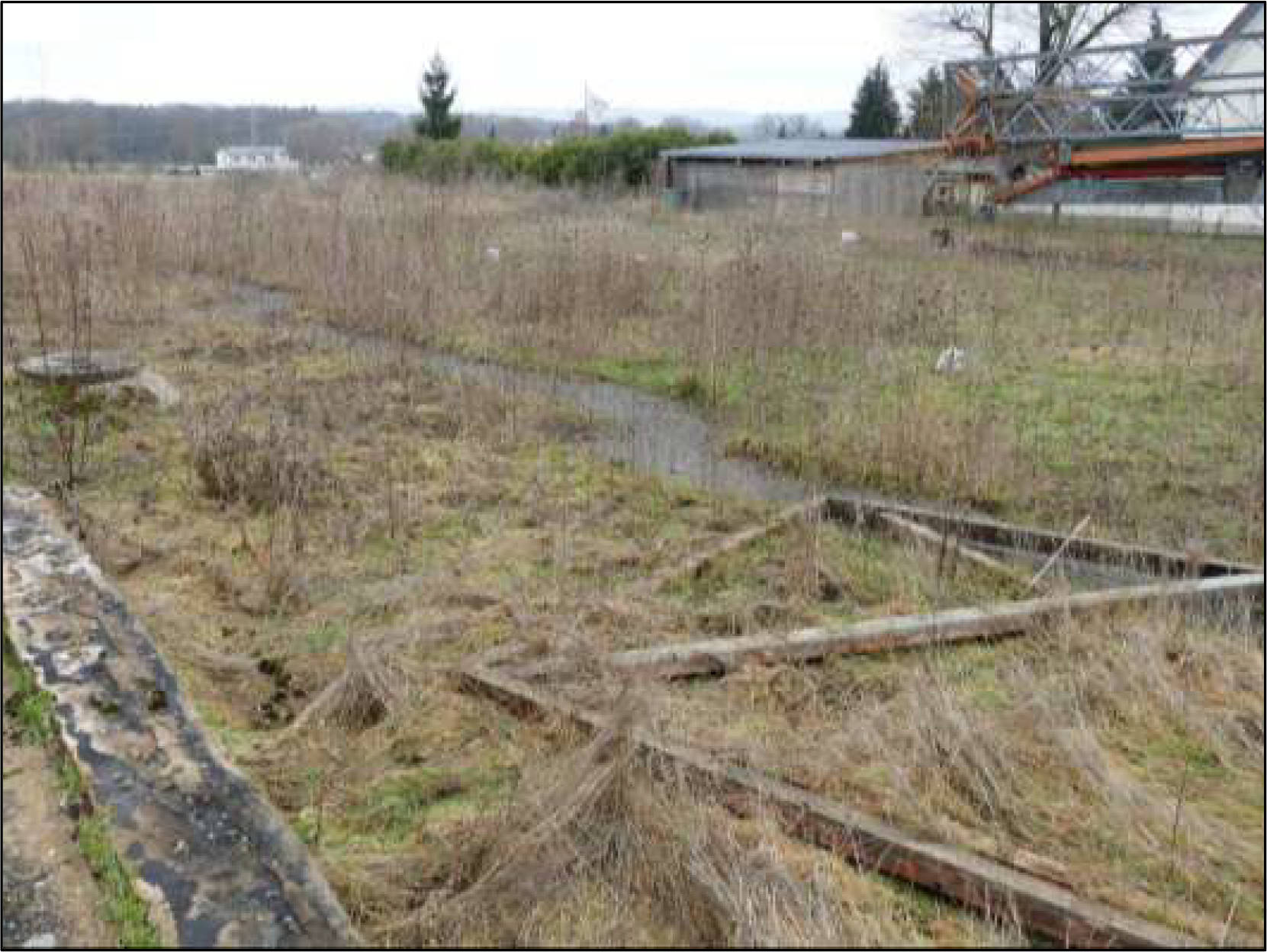unbebautes Grundstück, Miteigentumsanteile in Ellerbuscher Straße 128, 32584 Löhne, Löhne - Bild 3