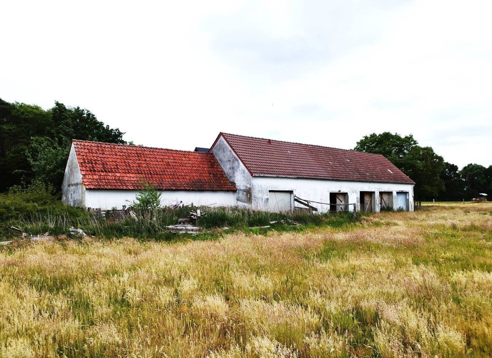 Gebäude- und Freifläche, Landwirtschaftsfläche in Meisterstraße 61, 32369 Rahden, Wehe - Bild 3