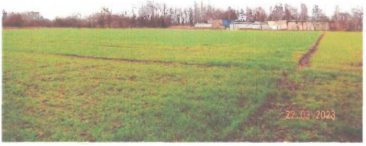 land- und forstwirtschaftlich genutztes Grundstück in Auf dem Brullfelde, 32369 Rahden