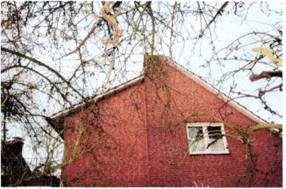 Garage, Dreifamilienhaus in Feldstiege 45, 46325 Borken - Bild 2