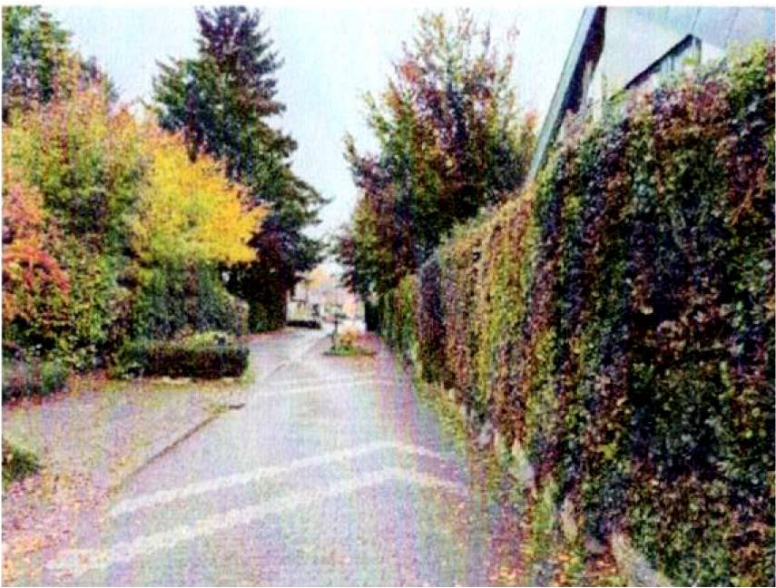 nordrheinwestpfalen 0004 K 0018/2024 Mozartstraße 45, 46359 Heiden 6