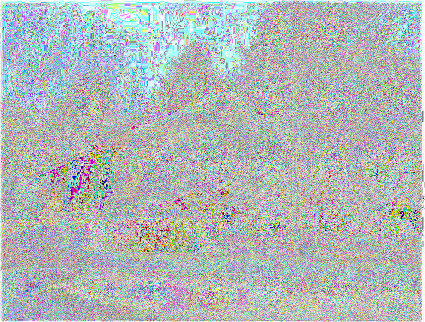 Garage, Einfamilienhaus in Mozartstraße 45, 46359 Heiden - Bild 2