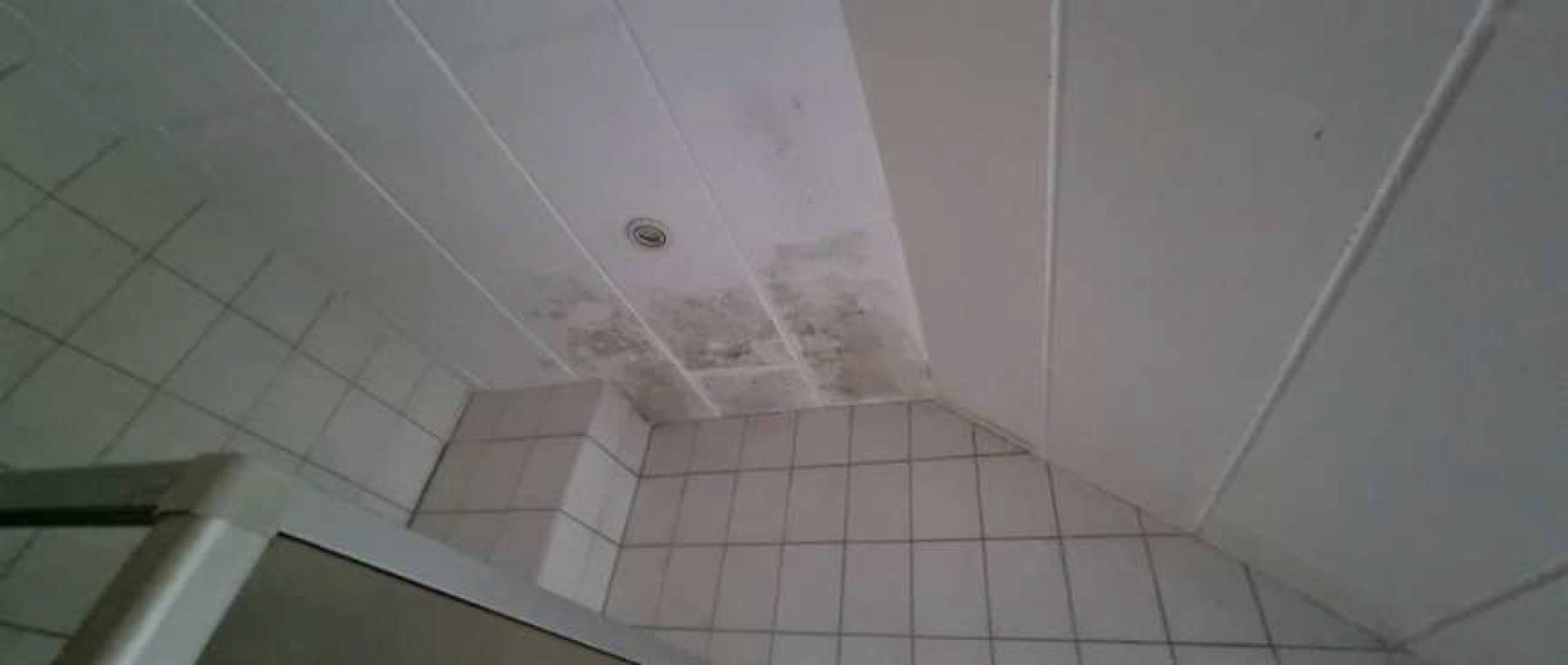 Eigentumswohnung (ab 5 Zimmer) in Wilhelminenstr. 155,155a, 45881 Gelsenkirchen, Schalke - Bild 4