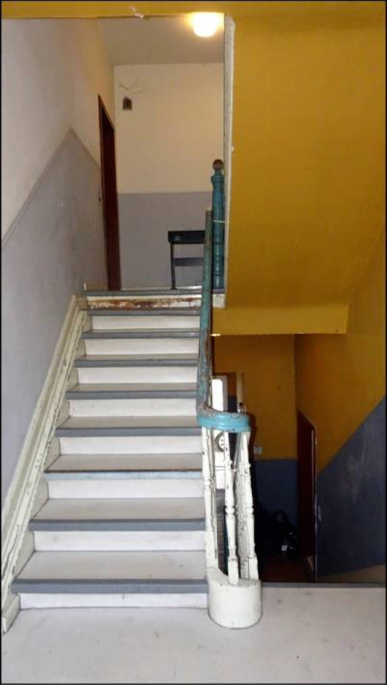 nordrheinwestpfalen 0005K0029/2023 Friesenstr. 5, 45891 Gelsenkirchen, Erle 8
