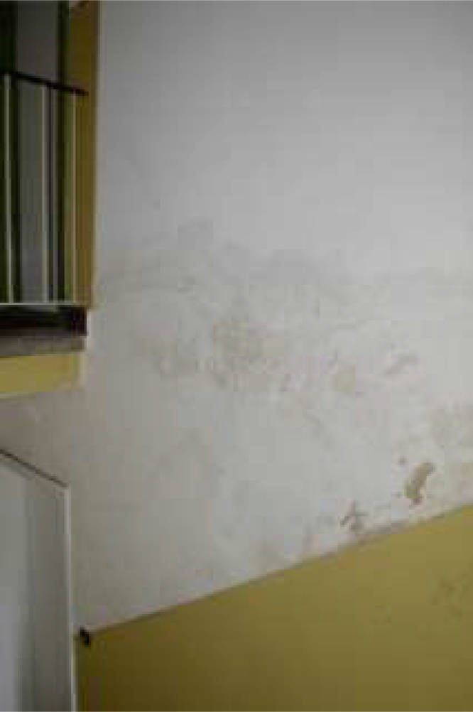 nordrheinwestpfalen 0005 K 0045/2024 Hochkampstr. 72, 74, 45881 Gelsenkirchen, Schalke-Nord 11