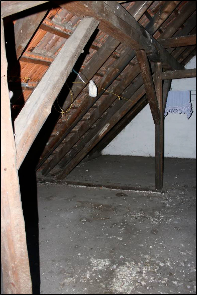 nordrheinwestpfalen 0005K0069-2022 Dresdener Str. 28, Liboriusstr. 112, 45881 Gelsenkirchen, Schalke