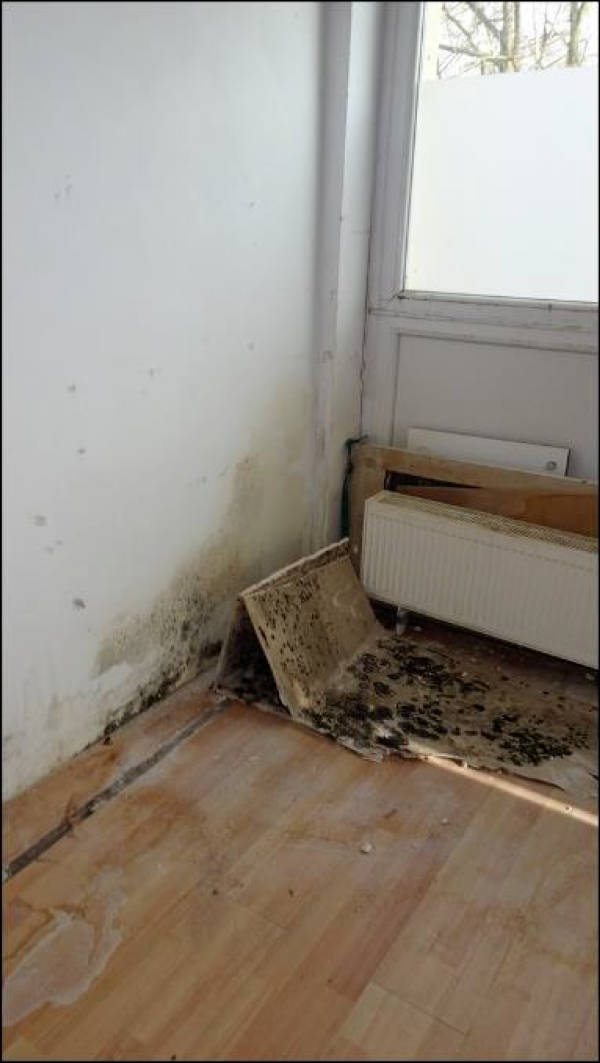 nordrheinwestpfalen 0005K0072-2023 Buerer Str. 85, Hügelstr. 2, Buerer Str. 87, 87 A, 45899 Gelsenkirchen, Horst
