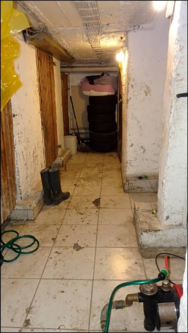 Eigentumswohnung (3 bis 4 Zimmer) in Friesenstraße 5, 45891 Gelsenkirchen - Bild 5