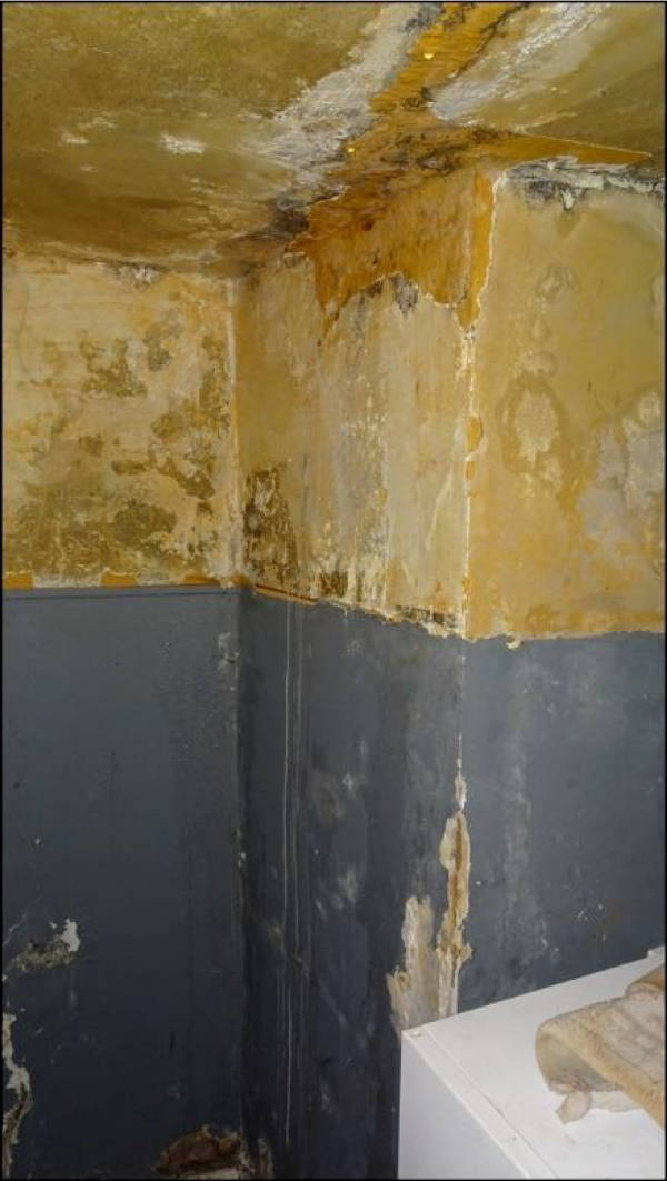 Eigentumswohnung (3 bis 4 Zimmer) in Friesenstraße 5, 45891 Gelsenkirchen - Bild 2