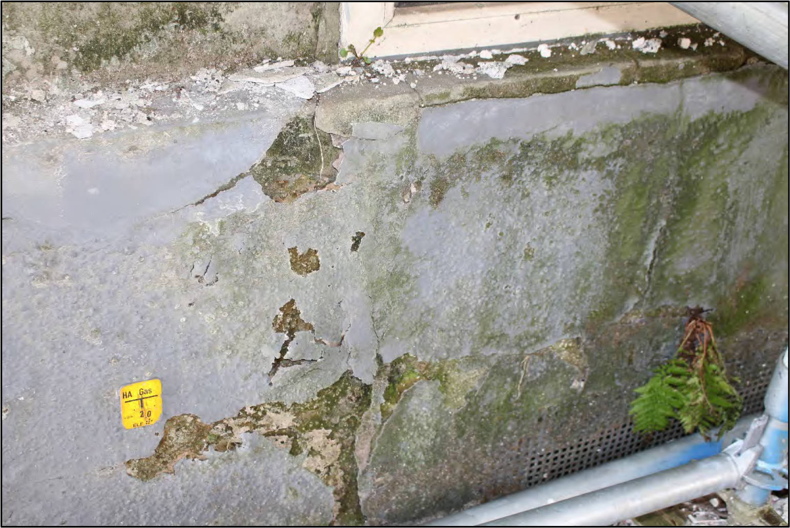 nordrheinwestpfalen 0005 K 0104/2024 Bochumer Str. 166, 45886 Gelsenkirchen, Ückendorf 9