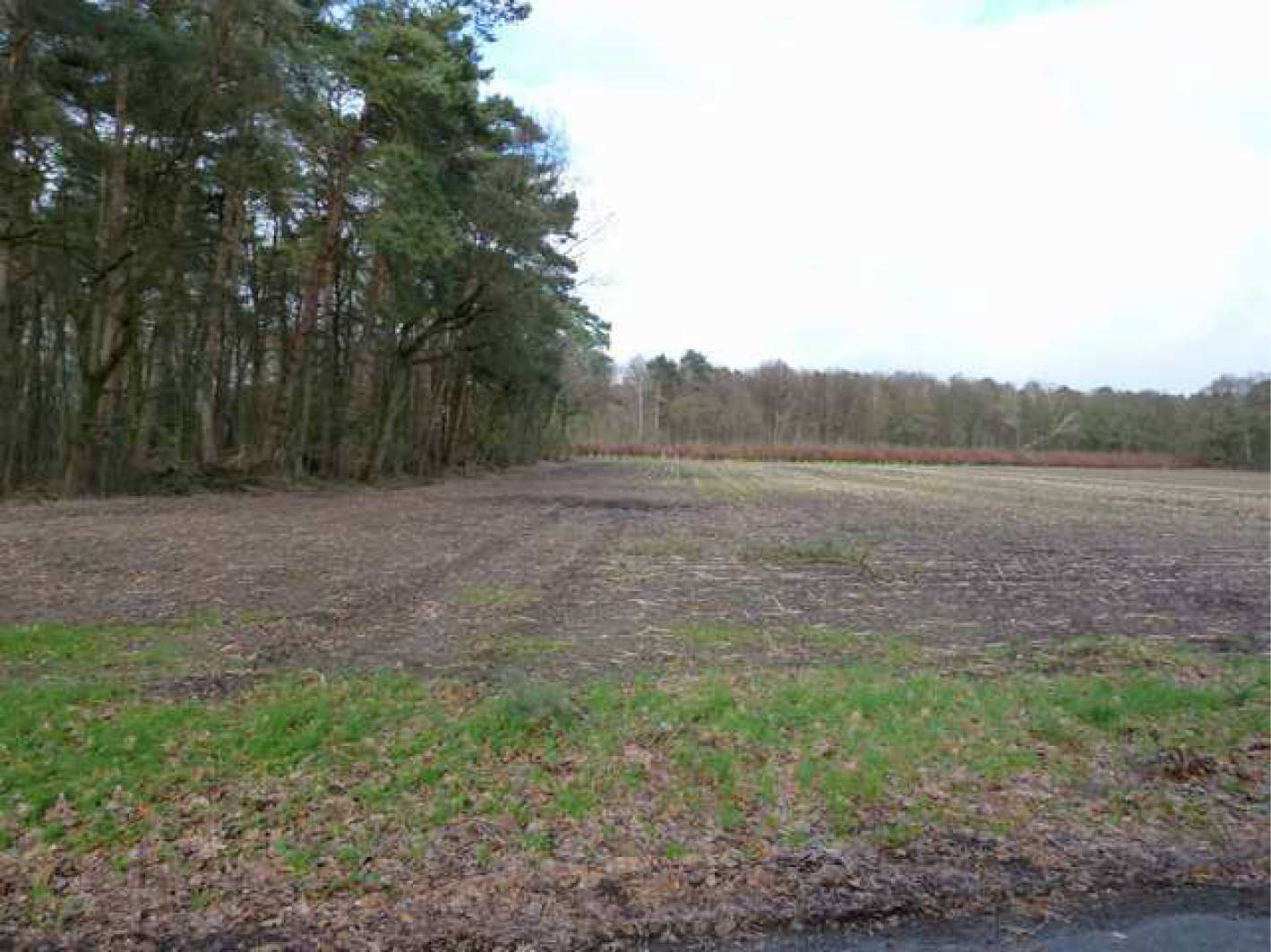 land- und forstwirtschaftlich genutztes Grundstück in Gabellin, 49492 Westerkappeln