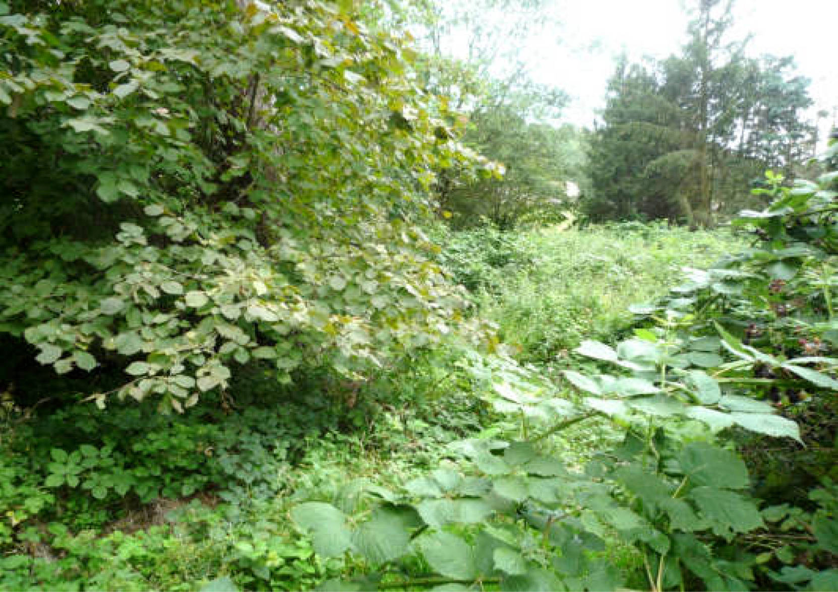 nordrheinwestpfalen 0006K0006-2022 Höhenweg 28, 49545 Tecklenburg, Brochterbeck