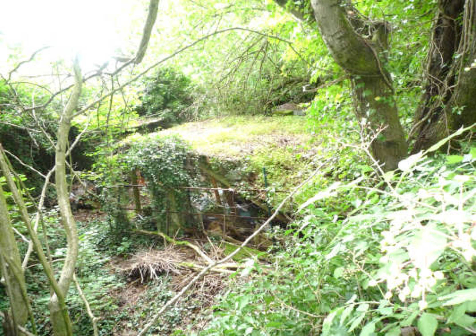 nordrheinwestpfalen 0006K0006-2022 Höhenweg 28, 49545 Tecklenburg, Brochterbeck