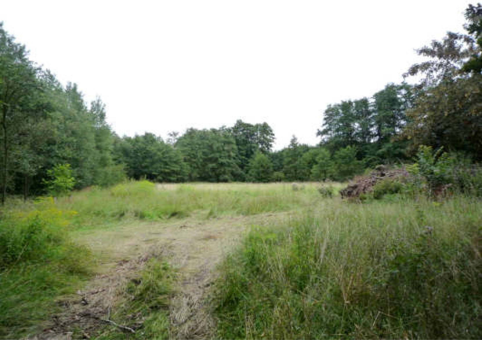 nordrheinwestpfalen 0006K0006-2022 Höhenweg 28, 49545 Tecklenburg, Brochterbeck