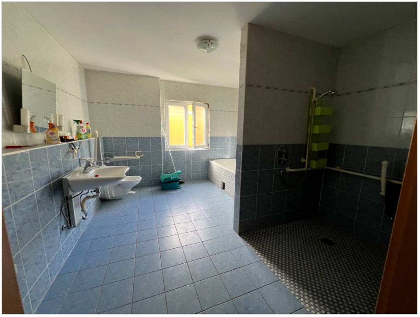 nordrheinwestpfalen 0006K0017/2024 Obenitterstraße 60, 42719 Solingen, Wald 6