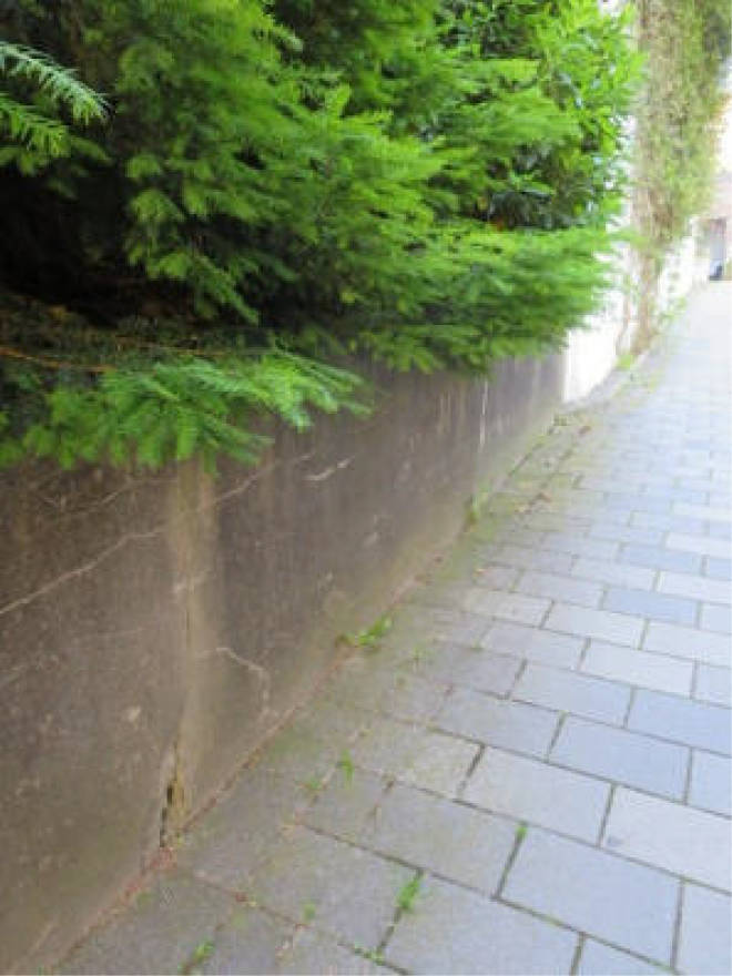 nordrheinwestpfalen 0006K0066/2023 Detmolder Straße 62, 33604 Bielefeld, Mitte 12