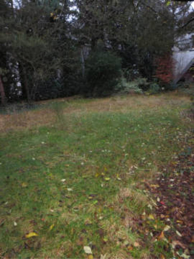 nordrheinwestpfalen 0006 a K 0013/2024 Bokelfenner-Straße 33, 00000 25