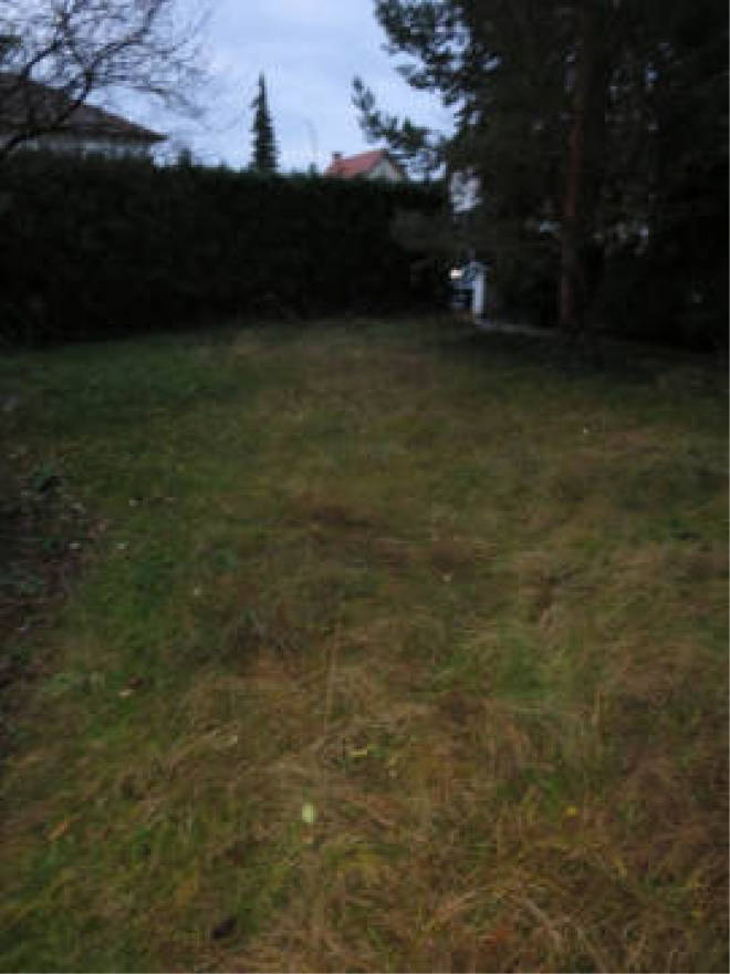 nordrheinwestpfalen 0006 a K 0013/2024 Bokelfenner-Straße 33, 00000 16