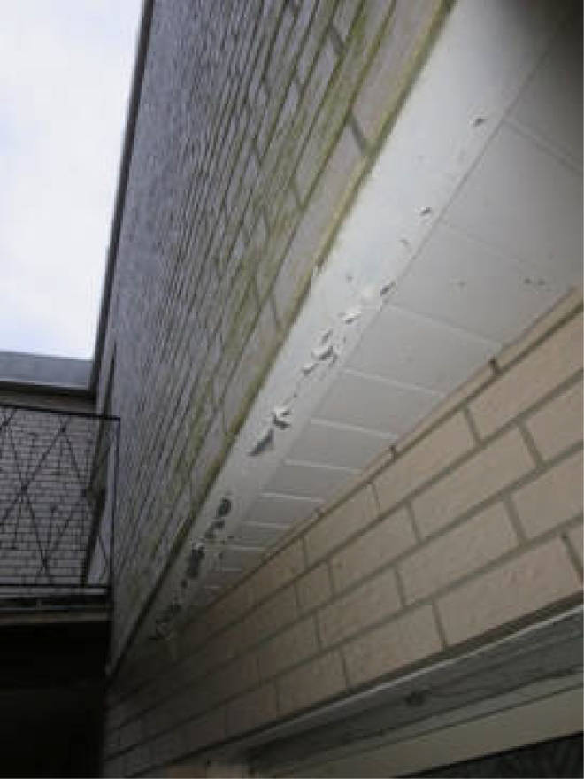 nordrheinwestpfalen 0006 a K 0013/2024 Bokelfenner-Straße 33, 00000 18