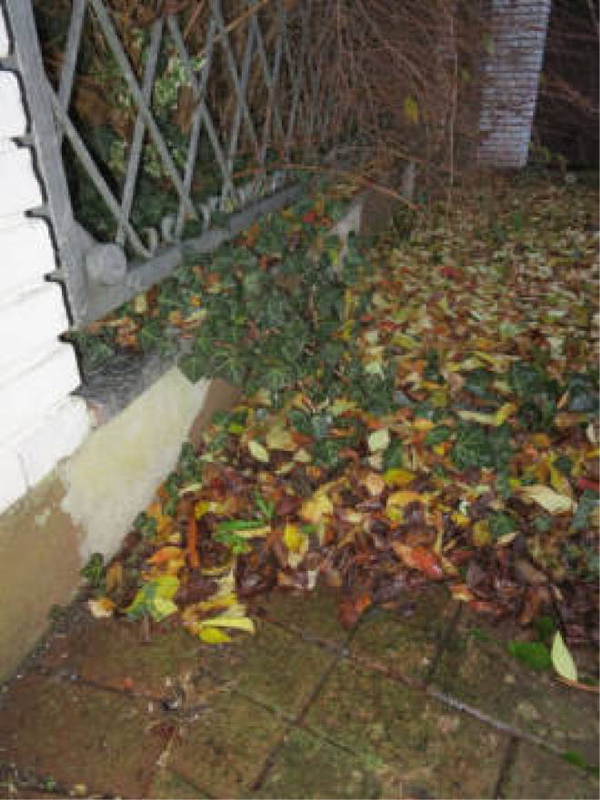 nordrheinwestpfalen 0006 a K 0013/2024 Bokelfenner-Straße 33, 00000 13