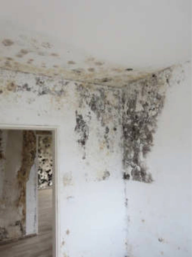 nordrheinwestpfalen 0006 a K 0065/2024 Waldbreede 1, 33649 Bielefeld, Quelle 22