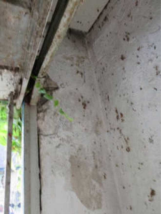 nordrheinwestpfalen 0006 a K 0065/2024 Waldbreede 1, 33649 Bielefeld, Quelle 28