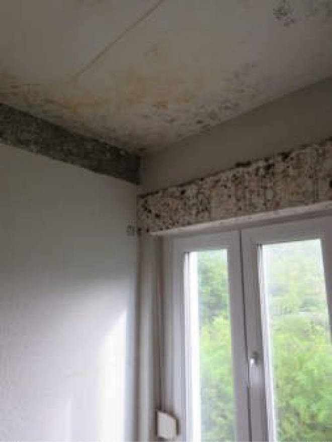 nordrheinwestpfalen 0006 a K 0065/2024 Waldbreede 1, 33649 Bielefeld, Quelle 6