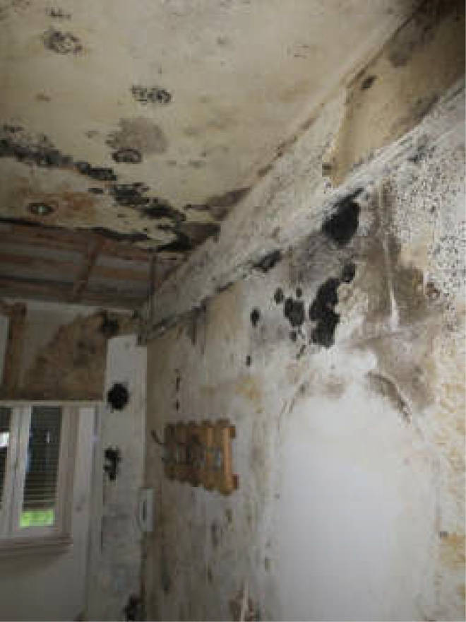 nordrheinwestpfalen 0006 a K 0065/2024 Waldbreede 1, 33649 Bielefeld, Quelle 17