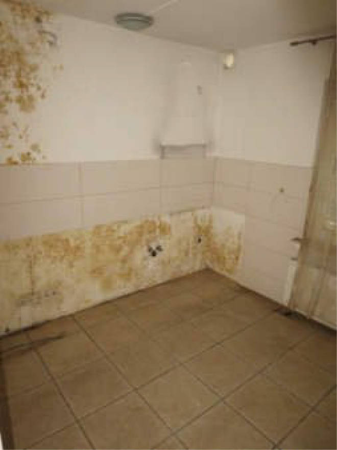 nordrheinwestpfalen 0006 a K 0065/2024 Waldbreede 1, 33649 Bielefeld, Quelle 13