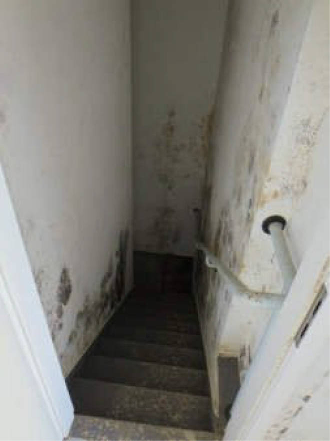 nordrheinwestpfalen 0006 a K 0065/2024 Waldbreede 1, 33649 Bielefeld, Quelle 14