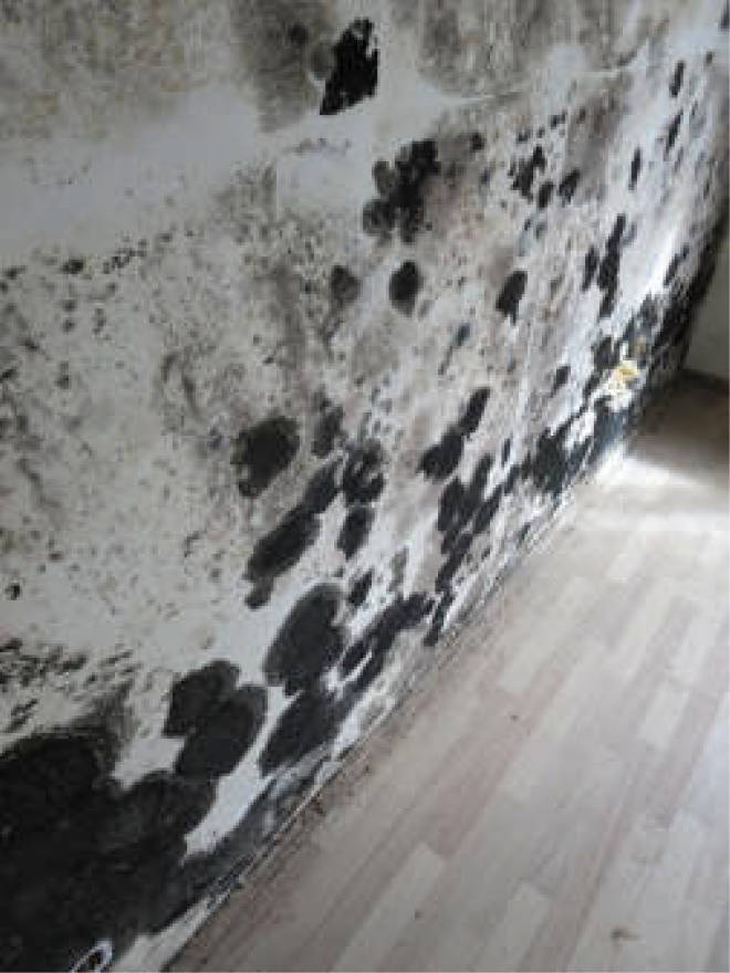 nordrheinwestpfalen 0006 a K 0065/2024 Waldbreede 1, 33649 Bielefeld, Quelle 16