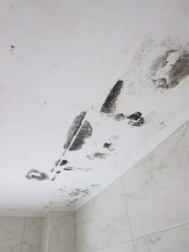 Wohn-/Geschäftshaus in Waldbreede 1, 33649 Bielefeld, Quelle - Bild 4