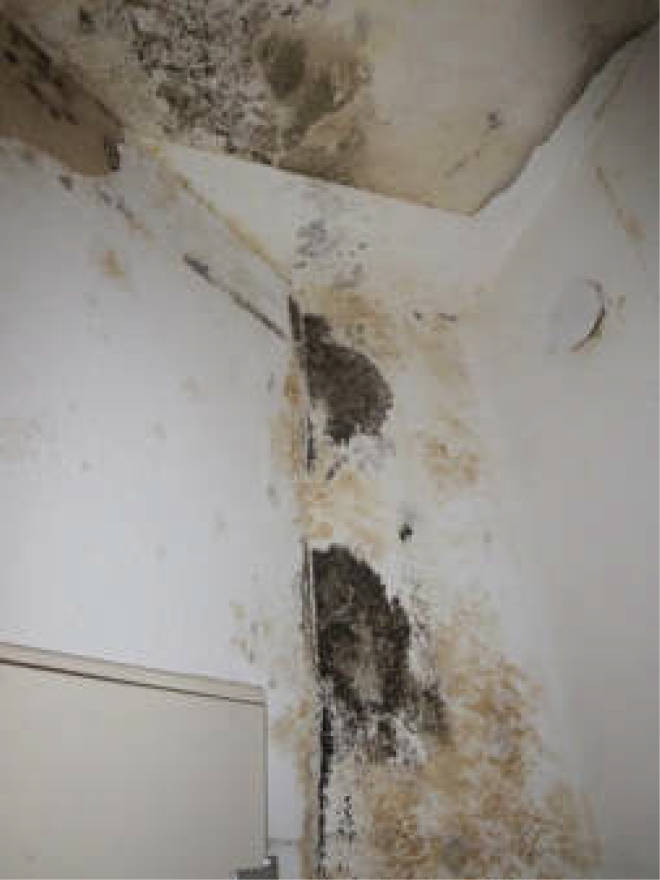 nordrheinwestpfalen 0006 a K 0065/2024 Waldbreede 1, 33649 Bielefeld, Quelle 19