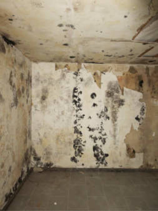 nordrheinwestpfalen 0006 a K 0065/2024 Waldbreede 1, 33649 Bielefeld, Quelle 27