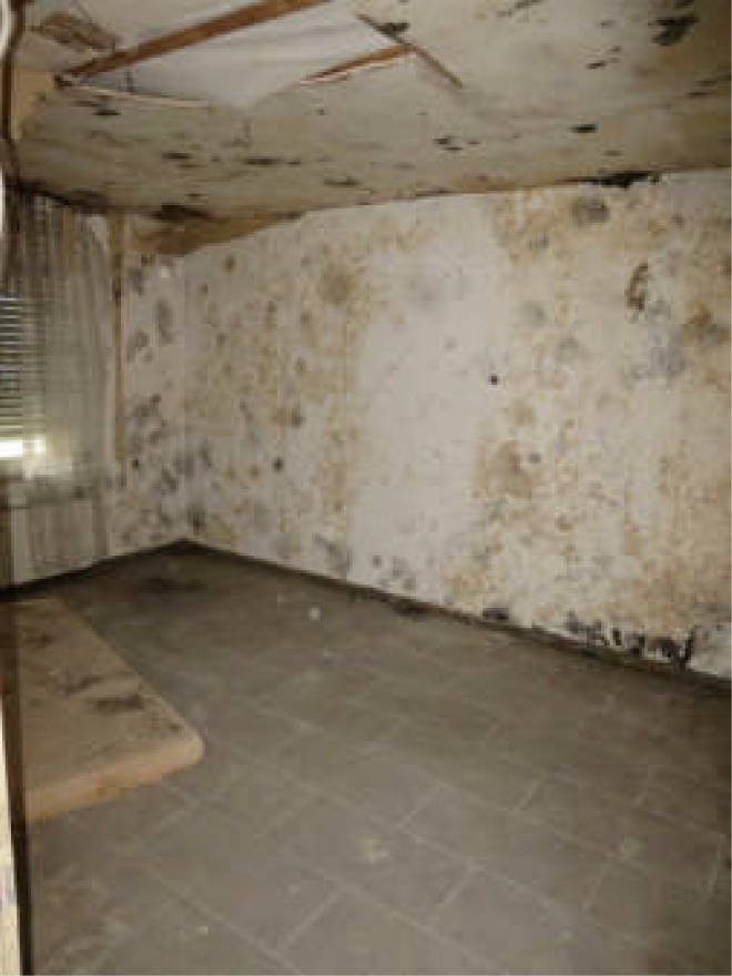 nordrheinwestpfalen 0006 a K 0065/2024 Waldbreede 1, 33649 Bielefeld, Quelle 11