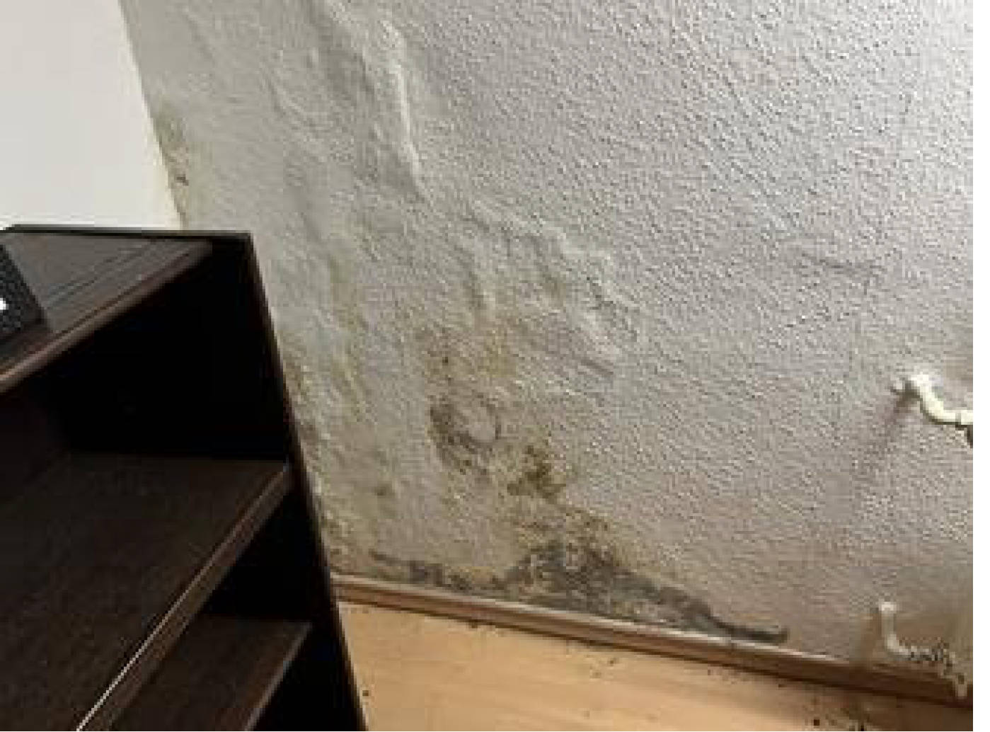 nordrheinwestpfalen 0006 a K 0071/2024 August-Fuhrmann-Straße 55, 33719 Bielefeld, Oldentrup 25