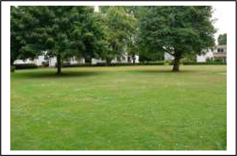 Eigentumswohnung (3 bis 4 Zimmer) in Danziger Straße 48, 50 ,50 A, 52, 54, 56, 58, 60, 62, 64, 33605 Bielefeld, Stieghorst - Bild 5