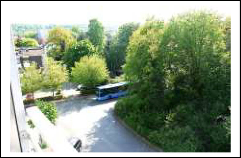 Eigentumswohnung (ab 5 Zimmer) in Danziger Straße 48, 50, 50 A, 52, 54, 56, 58, 60, 62, 64 , 33605 Bielefeld, Stieghorst - Bild 4