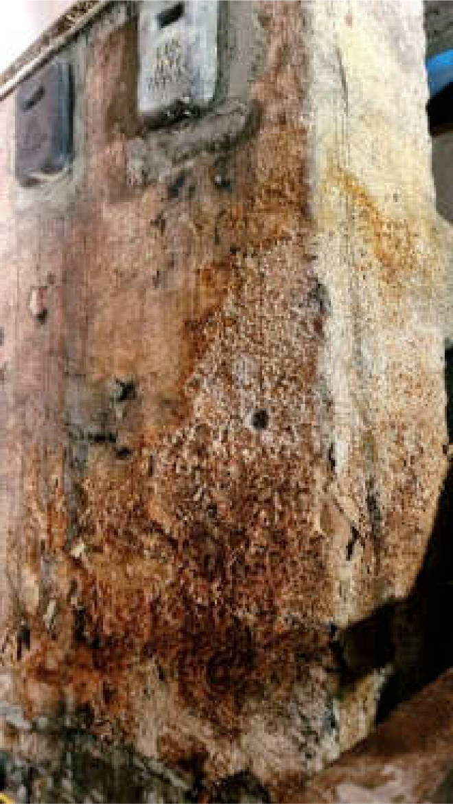 nordrheinwestpfalen 0007 K 0001/2025 Hörder Straße 351, 58454 Witten, Stockum 30